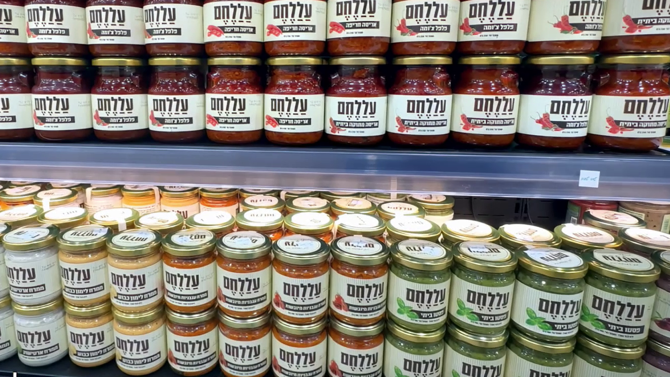 מוצרי החברה